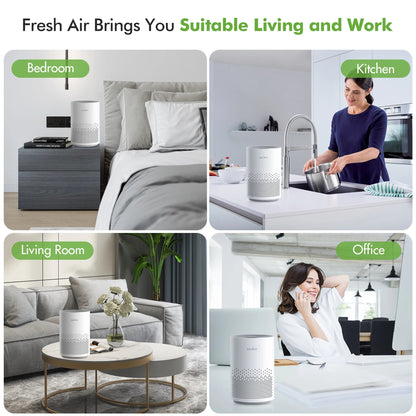 True HEPA Air Purifier Hepa Filter,4 Speeds,Timers Ionizer Cold Plasma 360° Air Inlet 99.9% Removal Rate For Indoor Bedroom Innofuze